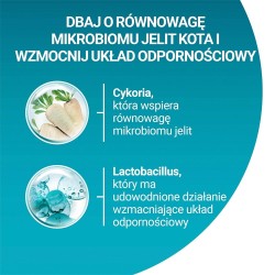 PURINA One Bifensis Senior 7+ Bogata w Kurczaka i Pełne Ziarna - sucha karma dla kota - 800 g