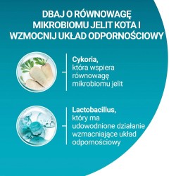 PURINA One Bifensis Adult Bogata w Kurczaka i Pełne Ziarna - sucha karma dla kota - 800 g