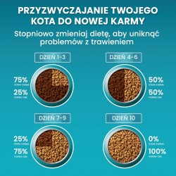 PURINA One Bifensis Adult Bogata w Kurczaka i Pełne Ziarna - sucha karma dla kota - 800 g