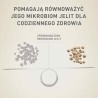 PURINA One Mini/Small Sensitive Łosoś, ryż - sucha karma dla psa - 800 g