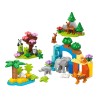 LEGO DUPLO 10446 Rodziny dzikich zwierząt 3 w 1