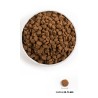 ORIJEN Original Dog 11,4kg