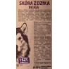 MACED Skóra dzika 45 cm - przysmak dla psa - 1 szt.