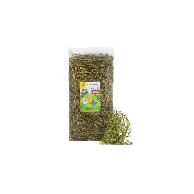 FACTORYHERBS Sianko tymotkowe (Zbiór2025) 500g FACTORYHERBS Sianko tymotkowe (Zbiór2025) 500g