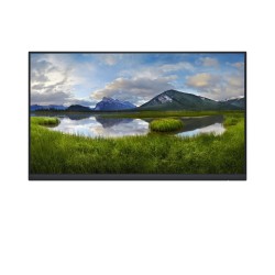 Monitor DELL P2422HE_WOST 60,5 cm (23.8") 1920 x 1080 px Full HD Czarny