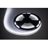 Sznur diodowy 25m Rebel (1500x5050 SMD) zimny biały wodoodporny, 12V