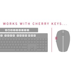 CHERRY DW 5100 klawiatura Dołączona myszka Dom RF Wireless Czeski, Słowacki Czarny