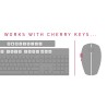 CHERRY DW 5100 klawiatura Dołączona myszka Dom RF Wireless Czeski, Słowacki Czarny