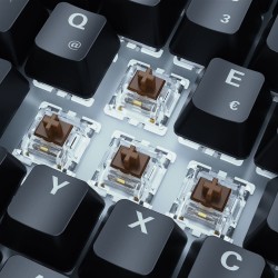 Sharkoon SKILLER SGK50 S3 klawiatura Gaming USB QWERTZ Niemiecki Czarny
