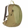 Plecak turystyczny Deuter AC LITE 15 SL Sprout-Linden
