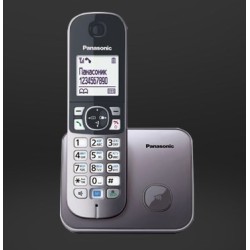 Panasonic KX-TG6811 Telefon w systemie DECT Nazwa i identyfikacja dzwoniącego Czarny