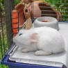 FERPLAST Rabbit 120 - klatka dla królika