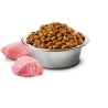 FARMINA N&D GF PUMPKIN LAMB&BLUEBERRY ADULT MEDIUM/