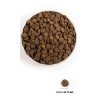 ACANA Grass-Fed lamb dog 6kg