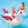 Intex 57561 pływak basenowy i plażowy Wielobarwny Obraz Winyl