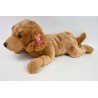 Pies Golden 60cm leżšcy 010746 73036