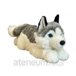 Pies husky 42cm 32041