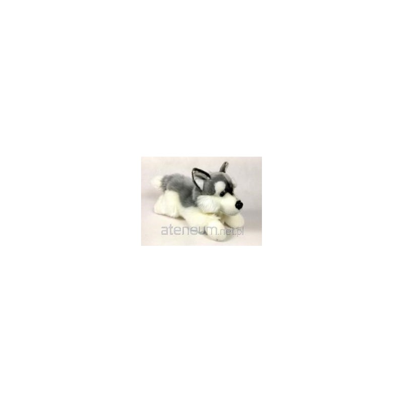 Pies husky 30cm 02882