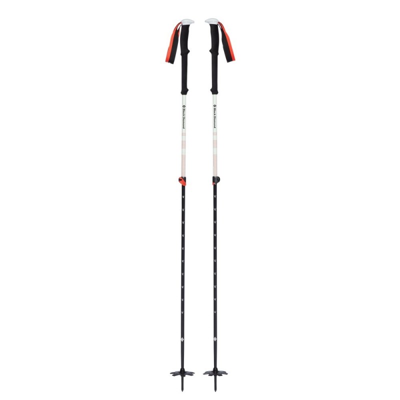 Black Diamond Expedition 2 kije do nart 2 szt. 155 cm Czarny, Szary