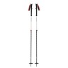 Black Diamond Expedition 2 kije do nart 2 szt. 155 cm Czarny, Szary