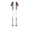 Black Diamond Expedition 2 kije do nart 2 szt. 155 cm Czarny, Szary