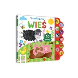 Sensoksišżka Wie? 14645