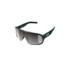 Okulary rowerowe POC Aspire zielony