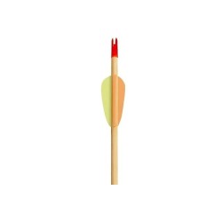 Strzały drewniane Target Wooden 30" Poe Lang - zestaw 5 sztuk