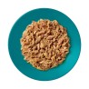 Applaws Cat Tin Ocean Fish 70g