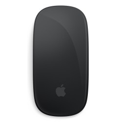 Apple Magic myszka Biuro Oburęczny Bluetooth