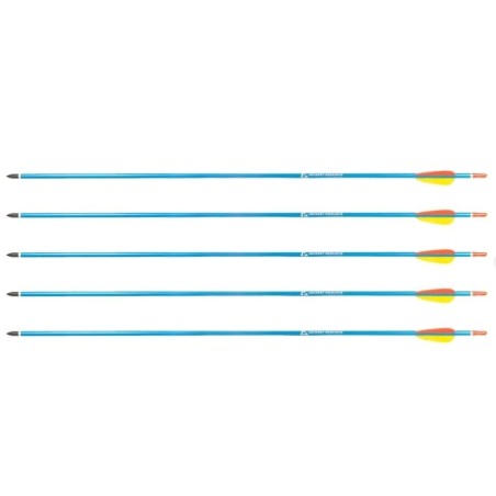 Strzały aluminiowe 30" BLUE Poe Lang - zestaw 5 szt