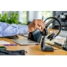 Zestaw słuchawkowy Bluetooth Poly Voyager 4320 MS Teams Certified USB-A Headset +BT700 dongle 77Y98AA