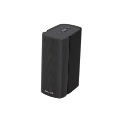 Creative Labs T100 Pełny zasięg Czarny Przewodowy i Bezprzewodowy 20 W