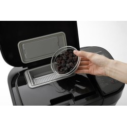 Panasonic SD-R2530KXE wypiekacz do chleba 550 W Czarny