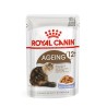 ROYAL CANIN FHN Ageing 12+ w galaretce - mokra karma dla kota starszego - 12x85g