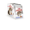 ROYAL CANIN FHN Ageing 12+ w galaretce - mokra karma dla kota starszego - 12x85g