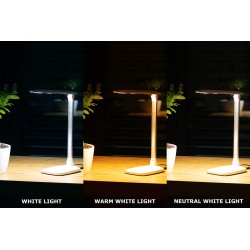 MONTIS MT042 LAMPKA BIURKOWA LED BIAŁA 230V + USB