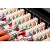 Digitus Panel krosowy desktop 12x RJ45, LSA poziom, kat.6A, ekranowany, czarny, prowadnica kabli