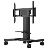 MD CAR1021-B1 FLOOR SUPPORTED/WALL LIFT FOR TOUCH FLAT SCREEN