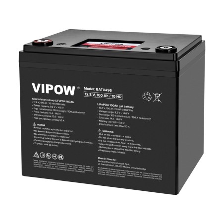 Akumulator LiFePO4 100Ah z BMS