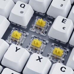 Sharkoon SKILLER SGK50 S3 PBT klawiatura Gaming USB QWERTZ Niemiecki Biały