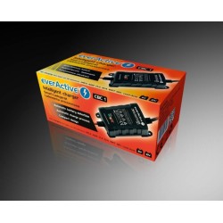 Ładowarka, prostownik samochodowy everActive CBC1 6V/12V