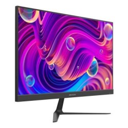 Monitor DS-D5024F2-BV2S