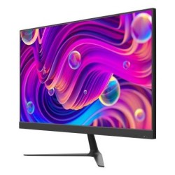 Monitor DS-D5024F2-BV2S
