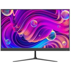 Monitor DS-D5024F2-BV2S