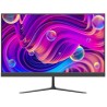 Monitor DS-D5024F2-BV2S