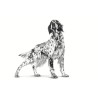ROYAL CANIN Hypoallergenic - sucha karma dla psa - 2kg