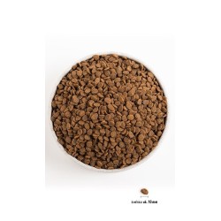 ORIJEN Original Cat - sucha karma dla kota - 340g
