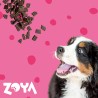 ZOYA COLDPRO Wołowina sucha karma dla psa 3kg