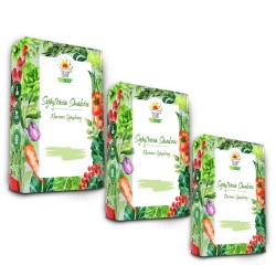 TORAF ZESTAW NASION - SET 1X3 2024 TORAF 36X1SZT
